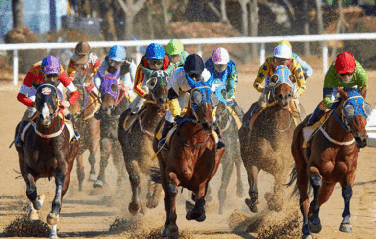 The Top Horse Racing Festivals to Attend